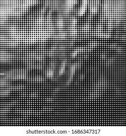 Vector Halftone Pattern. Set of Dots. Dotted Texture on White Background. Overlay Grunge Template. Distress Linear Design. Fade Monochrome Points. Pop Art Backdrop.