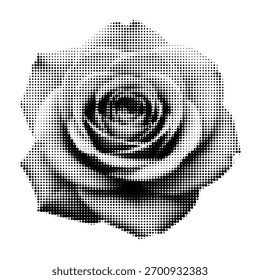 Ilustración de rosa semitono de Vector en blanco y negro. Diseño floral minimalista con textura vintage, perfecto para el arte del tatuaje, póster o decoración contemporánea.