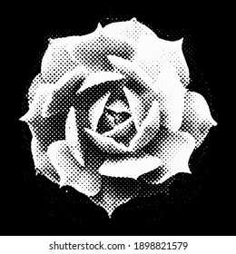 Vector halftone vintage flower, black and white color, grunge dotted style for print and design