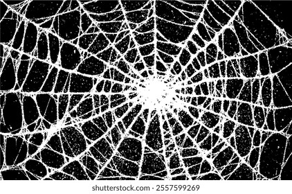 Vector Halloween background with spider web pattern and black grunge texture. Isolated dark graphic element for horror poster or decoration.