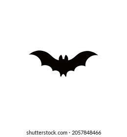 Vector halloween bat and small spider on a white background.