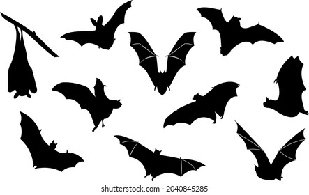 Vector of the Halloween bats