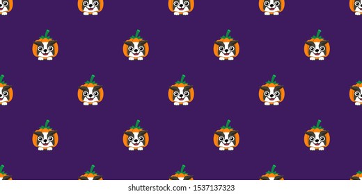 Vector halloween boston terrier dog with pumpkin seamless pattern background cartoon style for design.