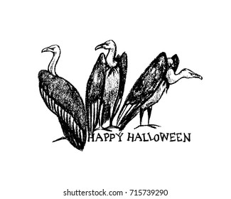 Vector Halloween greeting card. Vector illustration of hand drawn creepy and comic vultures. Charcoal drawing, beautiful Halloween design elements.