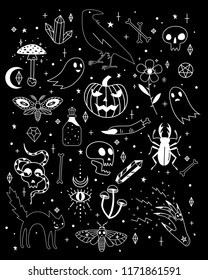 Vector halloween icons. Hand drawn, doodle, cartoon magician set. Witchcraft symbols