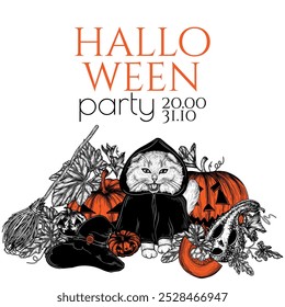 Vector Halloween invitation. A cat in a hood among carved pumpkins with a magic hat and a broom in engraving style