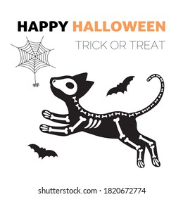 Vector Halloween postcard. Cat skeleton, isolated on white background