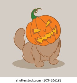 vector halloween pumpkin cat. the cat with the halloween pumpkin on his head