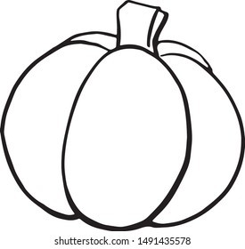 vector halloween pumpkin hand drawn doodles