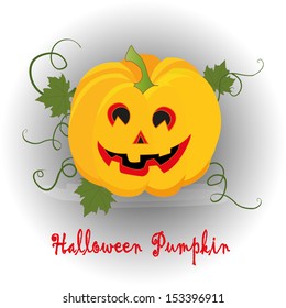 vector halloween pumpkin on white background 