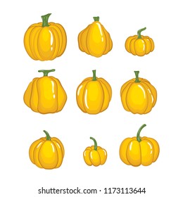 Vector of Halloween pumpkin set with Different shapes and sizes isolated on white background.