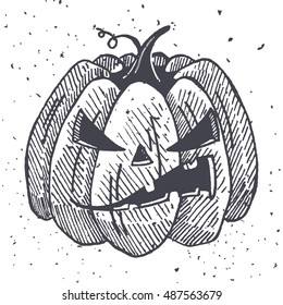 Vector Halloween pumpkins illustration. Handmade graphic