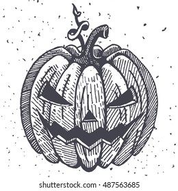 Vector Halloween pumpkins illustration. Handmade graphic