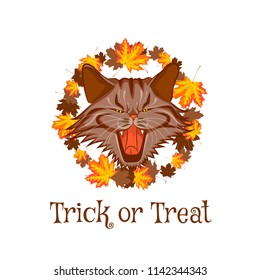 Vector halloween scary illustration of a vampire cat in circle of maple leaves. Text trick or treat. Isolated on the white background.
