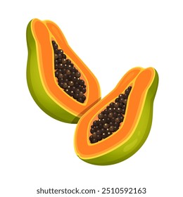 Mitades de Vector de la fruta de papaya aislada en el fondo blanco.