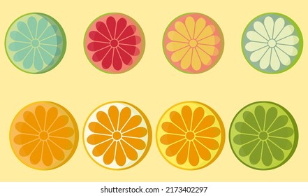 Vector with halves of various types of citrus fruits such as oranges, lemon, tangerine, lime and others. Fresh tropical sour fruits. Citrus varieties.