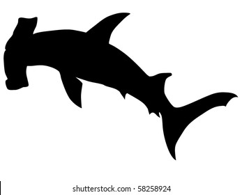 Vector  	Hammerhead Shark