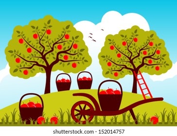 vector hand barrow and baskets of apples in apple orchard