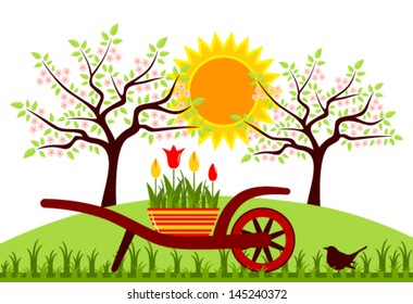 vector hand barrow with tulips in pot and flowering trees