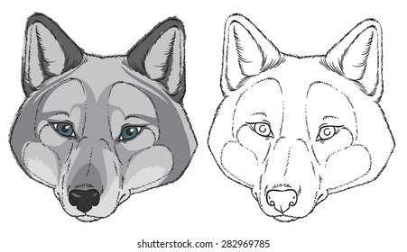 Vector Hand Draving Sketch Wolf Head Stock Vector (royalty Free) 282969785