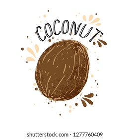 Vector hand draw coconut illustration. Brown coconuts with juice splash isolated on white background. Textured white and brown coconut with milk splashes, juice tropical fruit with word Coconut on top