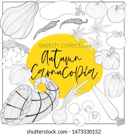 Vector hand draw collection of vegetables and cornucopia in sketch style for harvester autumn festival. Outline illustration of horn of plenty, currots, grape, pumpking, onion, champignon