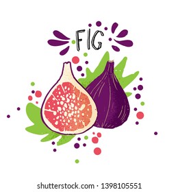 Vector hand draw colored fig illustration. Purple, blue peach with pulp and fruit bones and green leaves. Fresh tropical fruits illustration with figs on white background.
