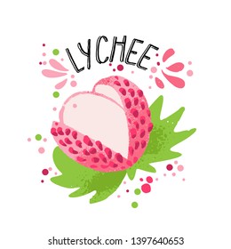 Vector hand draw colored lichee illustration. Pink, white lichee with pulp and green leaves. Fresh tropical fruits illustration with lichee on white background