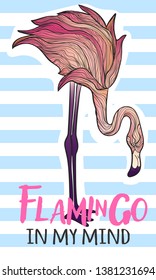 Vector hand draw illustration of colorful flamingos  with quotes flamingo in my mind on white background with pastels blue stripes