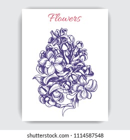 Vector hand draw illustration with lilac.