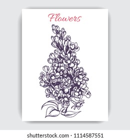 Vector hand draw illustration with lilac.