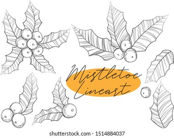 Vector hand draw illustration of line art ilex leaves and berries collection in sketch style Black and white line art of christmas holly mistletoe set. 