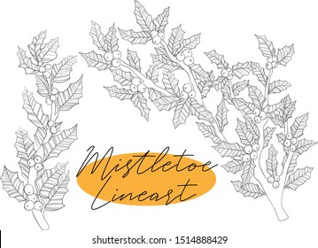 Vector hand draw illustration of line art ilex branch with leaves and berries in sketch style Black and white line art of christmas twig of holly mistletoe. 