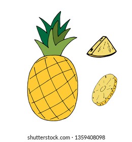 Vector hand draw illustration on white background. Hello summer, beach, sun, fresh fruit.