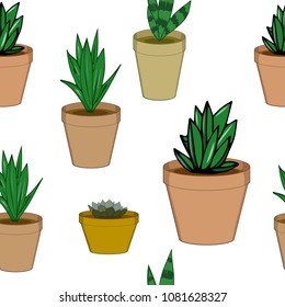 Vector hand draw illustration seamless pattern of Set of different tipical indoor plants. Icons with  blooming flowers used for home and garden decoration

