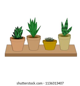 Vector hand draw illustration set of different tipical indoor plants in pots
