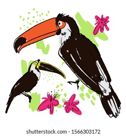 Vector hand draw illustration of tropical birds - carrots, toucans with paint drops, abstract elements and pink tropic flowers, isolated on white background. Sketched hand draw tropic bird toucan