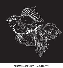 Vector hand draw Illustration with white fish on a black background