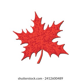 Vector of hand draw maple leaf 