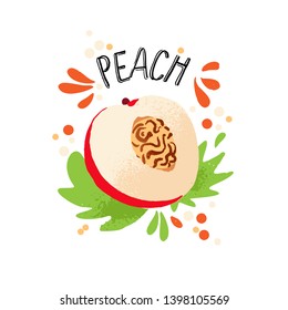 Vector hand draw peach illustration. Orange ripe peaches with juice splash isolated on white background. Textured peach with splashes, juice tropical fruit with word Peach on top. Fresh silhouette
