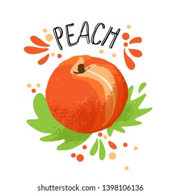 Vector hand draw peach illustration. Orange ripe peaches with juice splash isolated on white background. Textured peach with splashes, juice tropical fruit with word Peach on top. Fresh silhouette