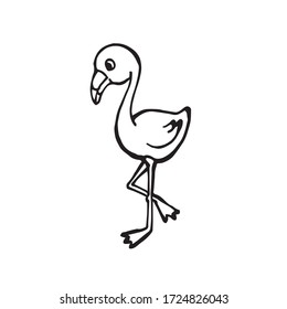 Vector of hand draw or sketch of cute flamingo. Illustration