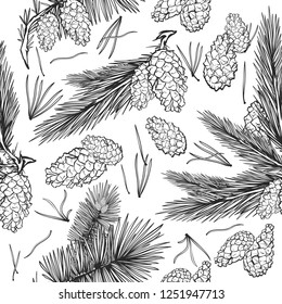 Vector hand draw  sketch engraving of a pine cone, christmas trees branches, vector illustration