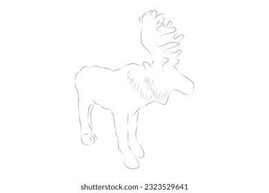 vector hand draw sketch moose or big deer, isolated on white

