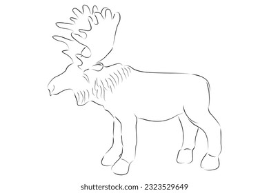 vector hand draw sketch moose or big deer, isolated on white
