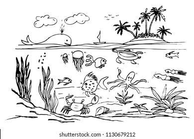 vector hand draw sketch of ocean life