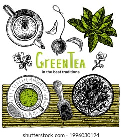 Vector hand draw tea. Tea shop banner set. Banner for tea design. Green tea card. Menu background design. Sketch graphics illustration.