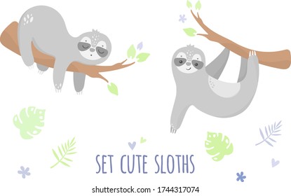 Vector hand draw two sloths on white background. Cute animals illustration with text and tropical leaves for print t-shirt, birthday, party decor, poster