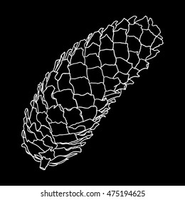 Vector hand drawing black and white realistic illustration of pine cone, fir cone with open shells.