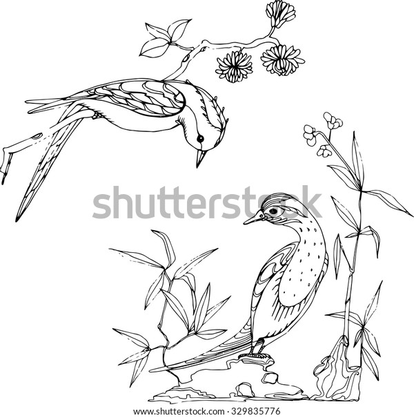 Vector Hand Drawing Black White Exotic Stock Vector (Royalty Free ...